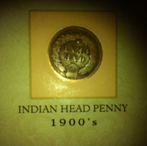 1906-Indian-Head-Error?
