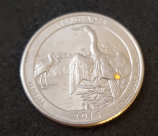 2014-Everglades-Quarter-Error
