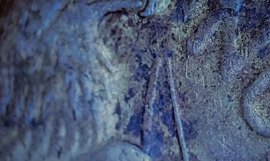 1922-Peace-Dollar-Raised-Area-Reverse-Question