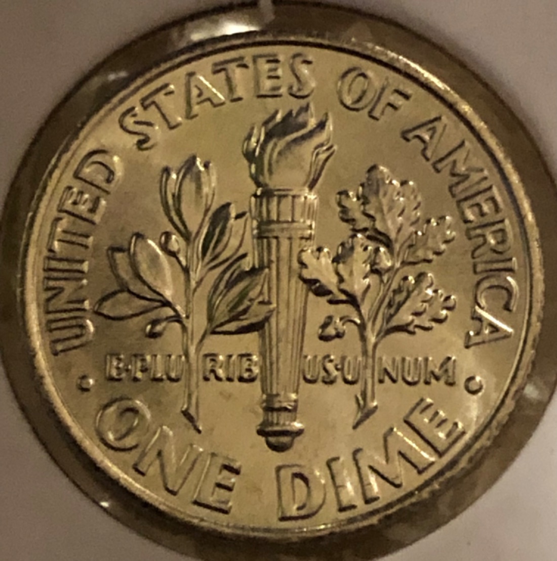 2013-D-Roosevelt-Have-I-Found-My-First-Gem?