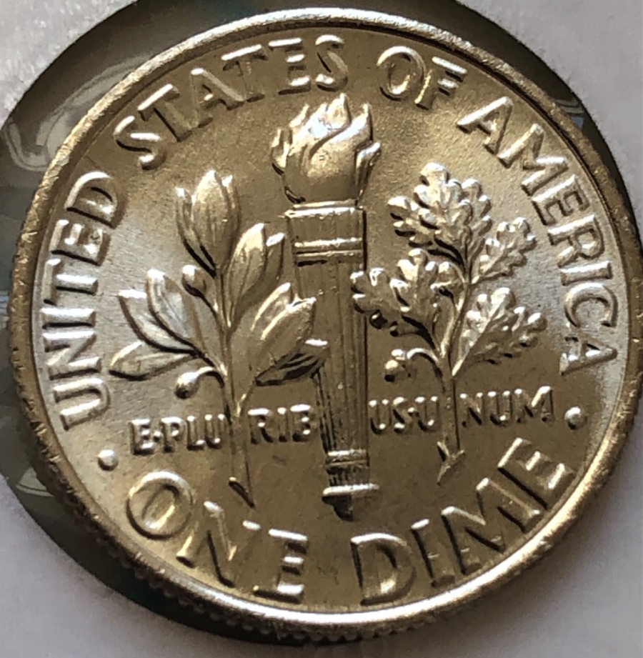 2013-D-Roosevelt-Have-I-Found-My-First-Gem?