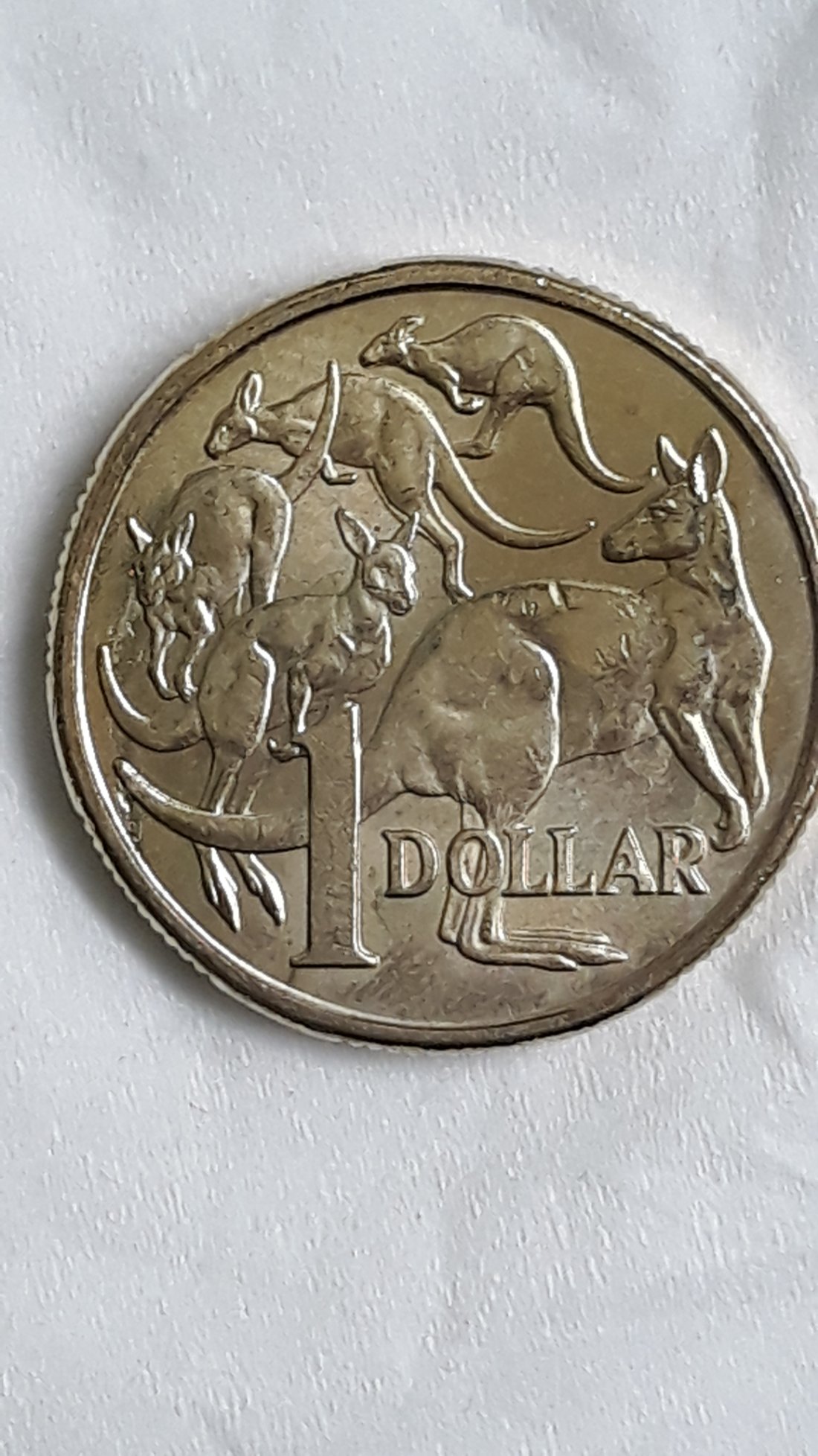 2017-$1-Coin...peel-Lamination?-Pls-Help