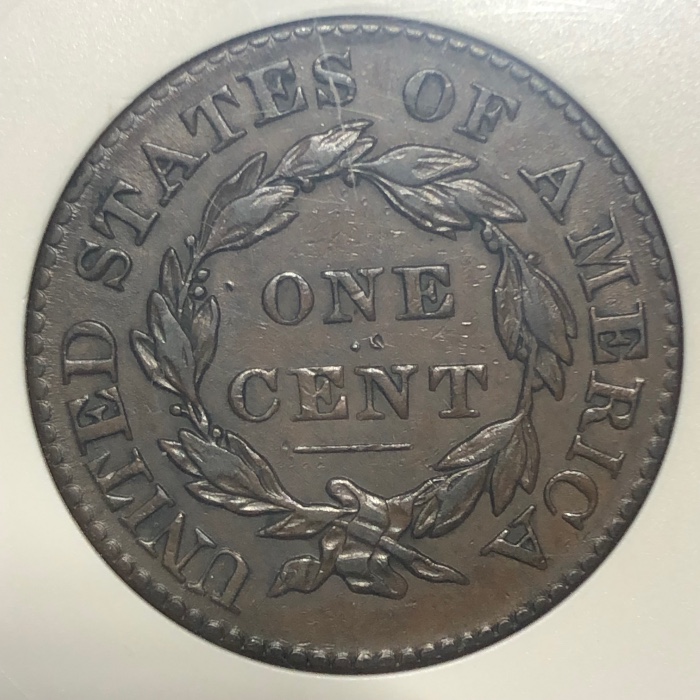 1828-N-10-Coronet-Head-Large-Cent-For-Grading-You-Vs-ANACS