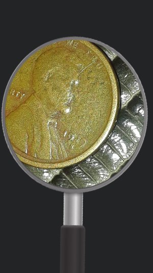 I-Found-This-Wheat-Penny!
