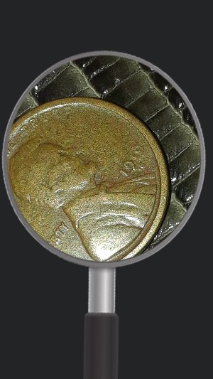 I-Found-This-Wheat-Penny!