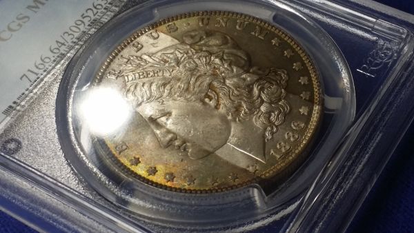 Gorgeous-Tape-Strip-Toned-Morgan