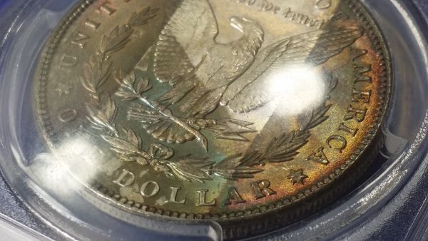 Gorgeous-Tape-Strip-Toned-Morgan