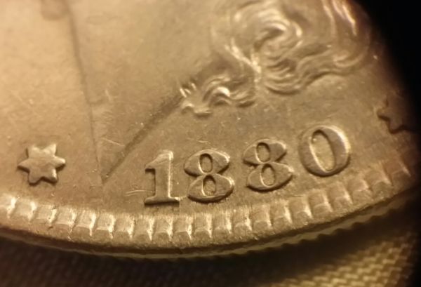 1880-P-VAM16--*hot-50