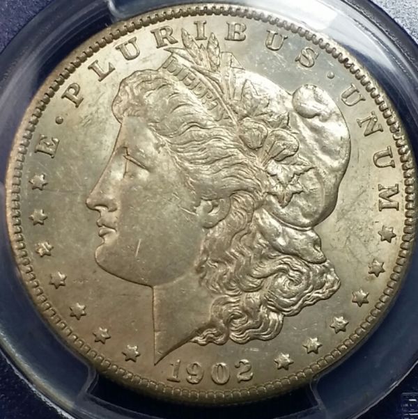 1902-S-Morgan...-What's-Going-On-W/-Rev.-Die?--VAM?