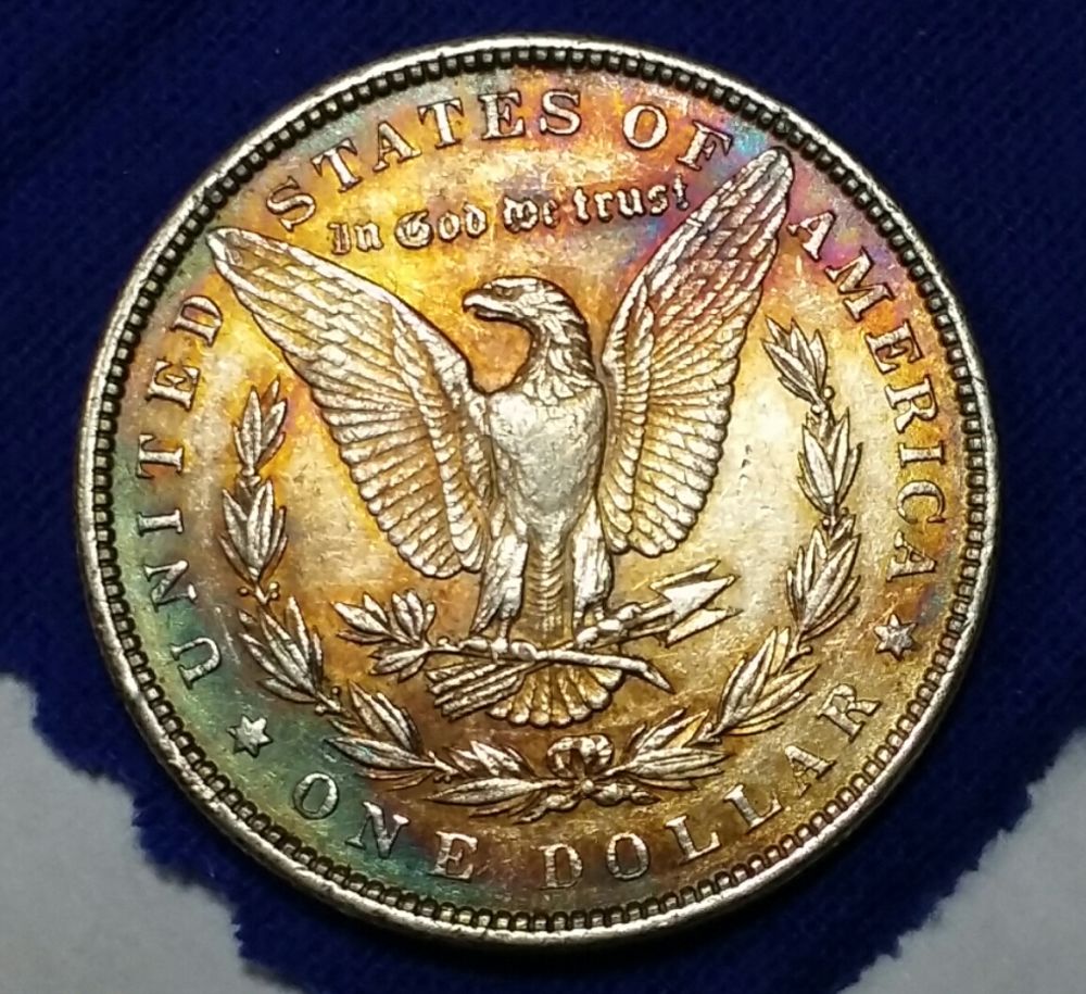 Rainbow-Circulated-Morgan