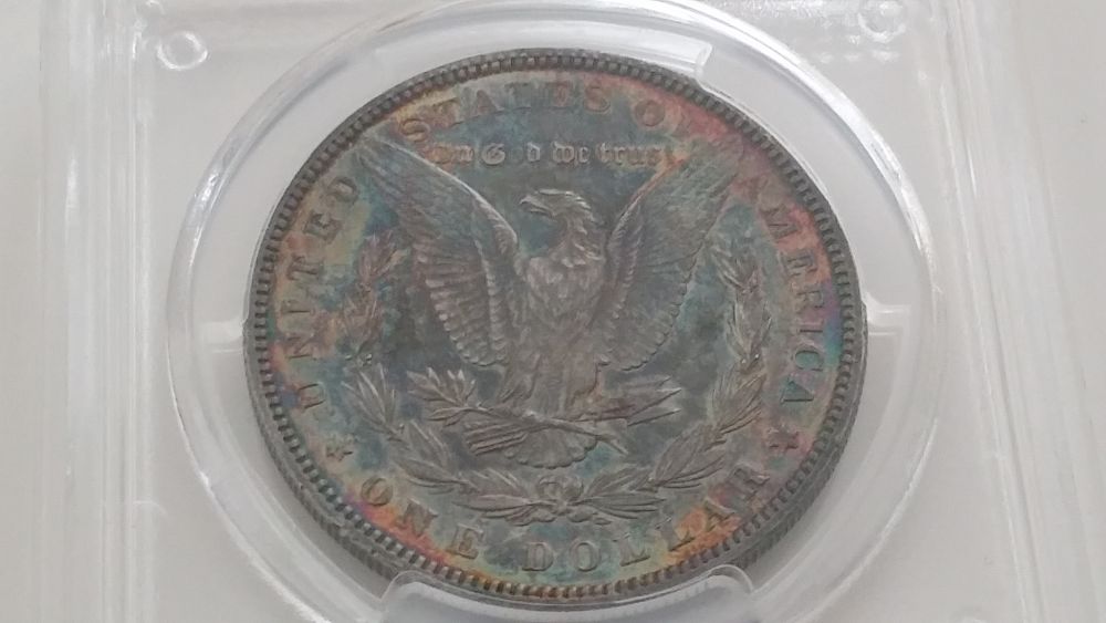 Rainbow-Alligator-Eye...-U-Vs-PCGS...-***updated-Grade***