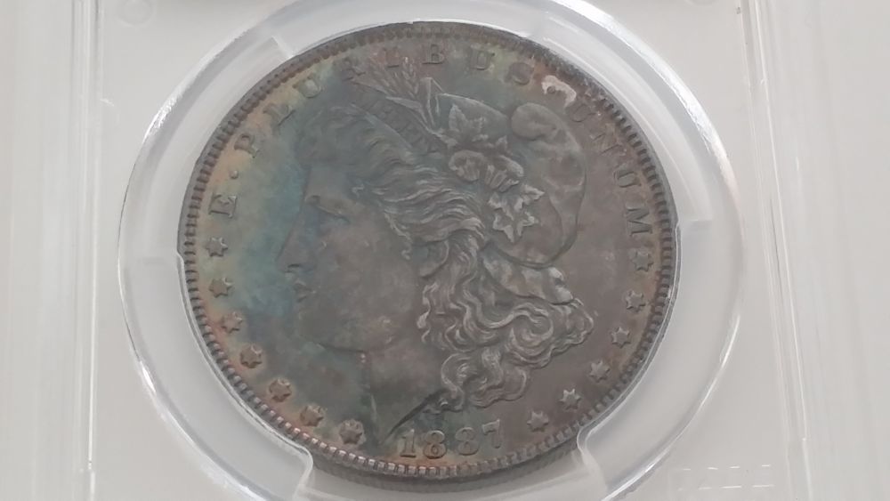 Rainbow-Alligator-Eye...-U-Vs-PCGS...-***updated-Grade***