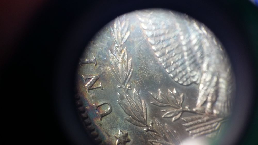 Rainbow-Alligator-Eye...-U-Vs-PCGS...-***updated-Grade***