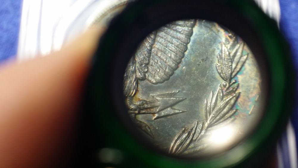 Rainbow-Alligator-Eye...-U-Vs-PCGS...-***updated-Grade***