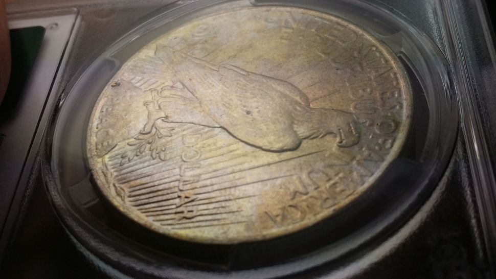 1924-Peace...-U-Vs-PCGS-And-A-DDO-Maybe?