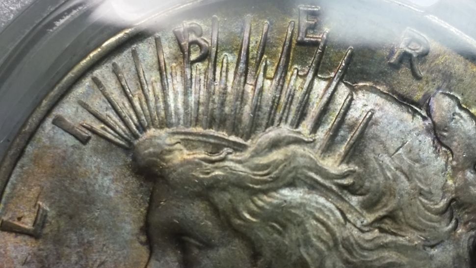 1924-Peace...-U-Vs-PCGS-And-A-DDO-Maybe?