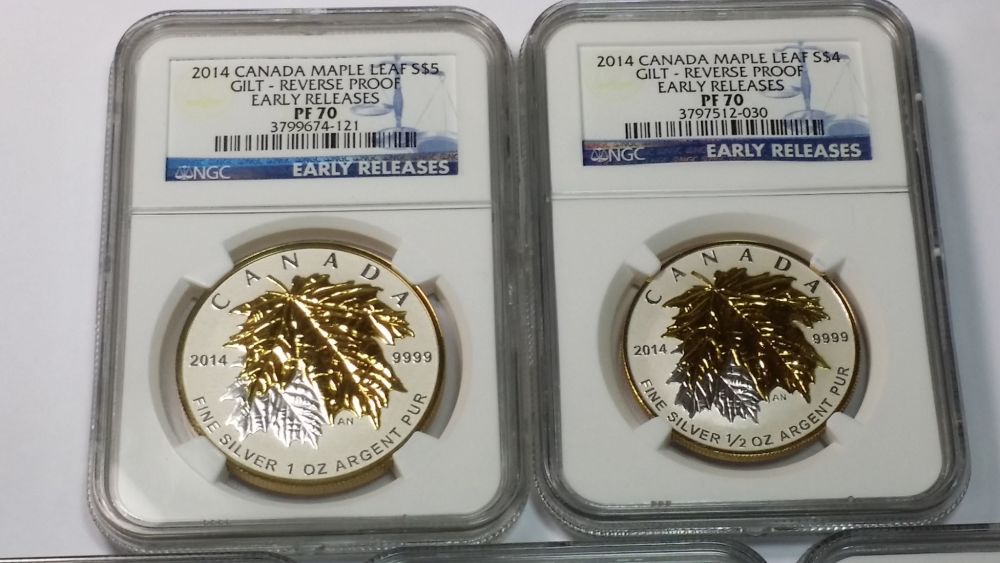 My-2014--Guilt-Maple-Leaf-Fractional-70-Er-Reverse-Proof-Set