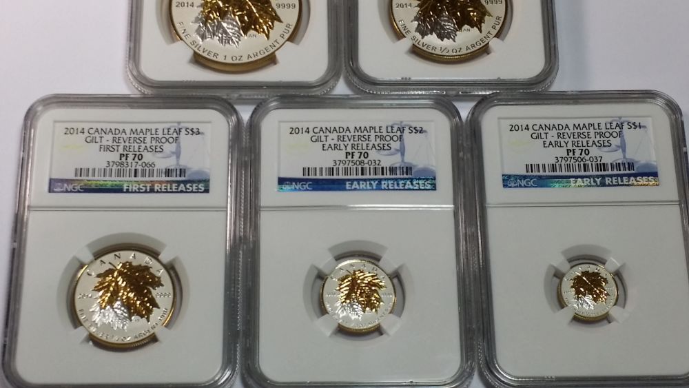 My-2014--Guilt-Maple-Leaf-Fractional-70-Er-Reverse-Proof-Set