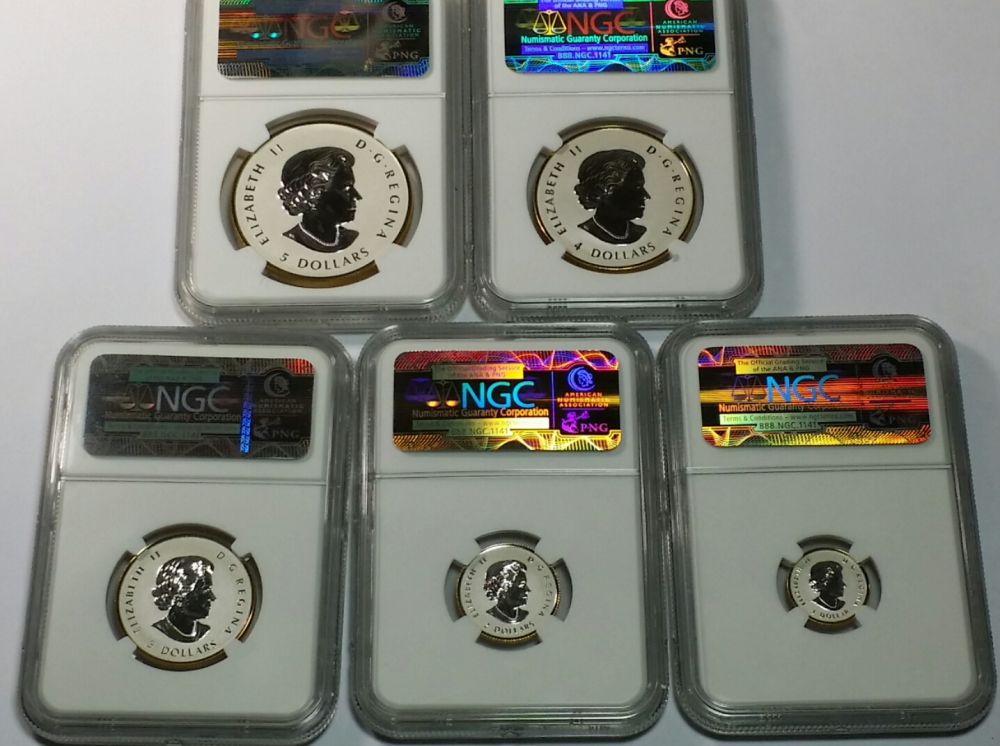 My-2014--Guilt-Maple-Leaf-Fractional-70-Er-Reverse-Proof-Set