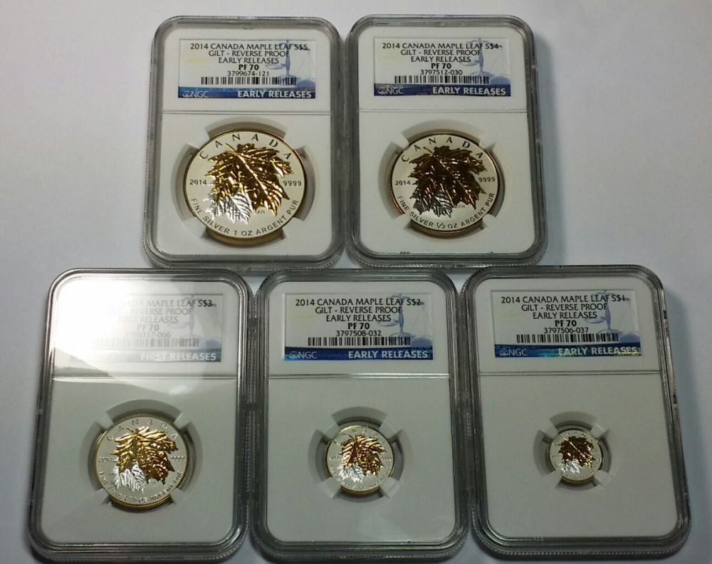 My-2014--Guilt-Maple-Leaf-Fractional-70-Er-Reverse-Proof-Set