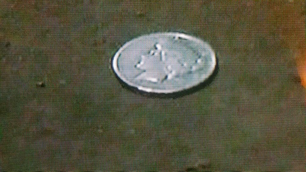 Peace-Dollar-On-American-Pickers