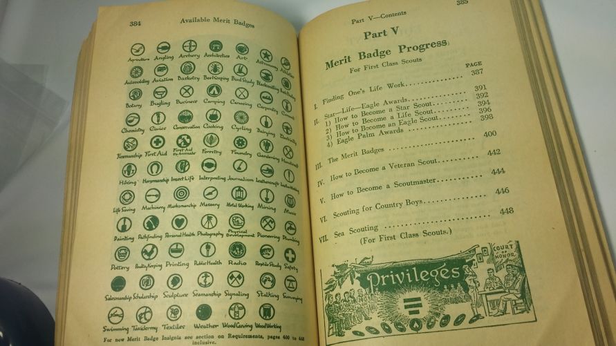 Coin-Collecting-Merit-Badge
