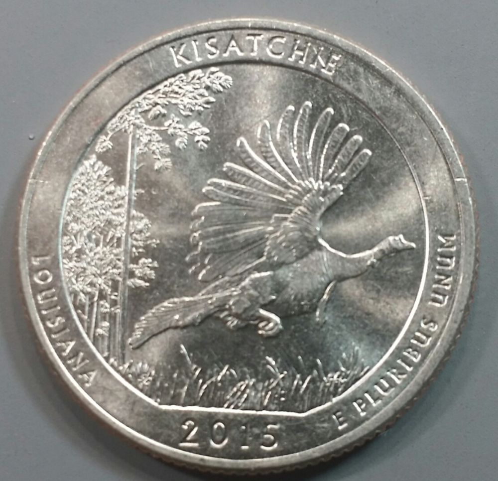 Kisatchie-DDR?
