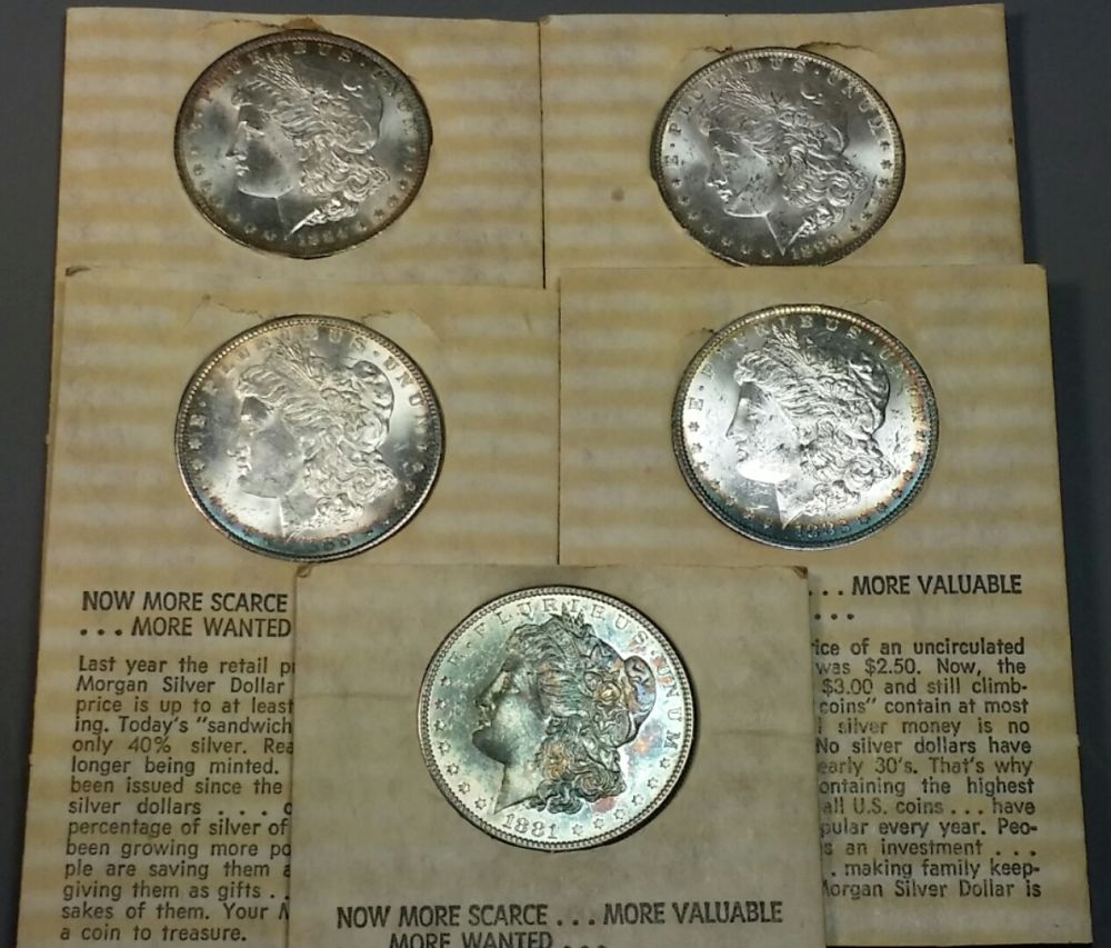 5x-Toned-Morgans-In-Historic-