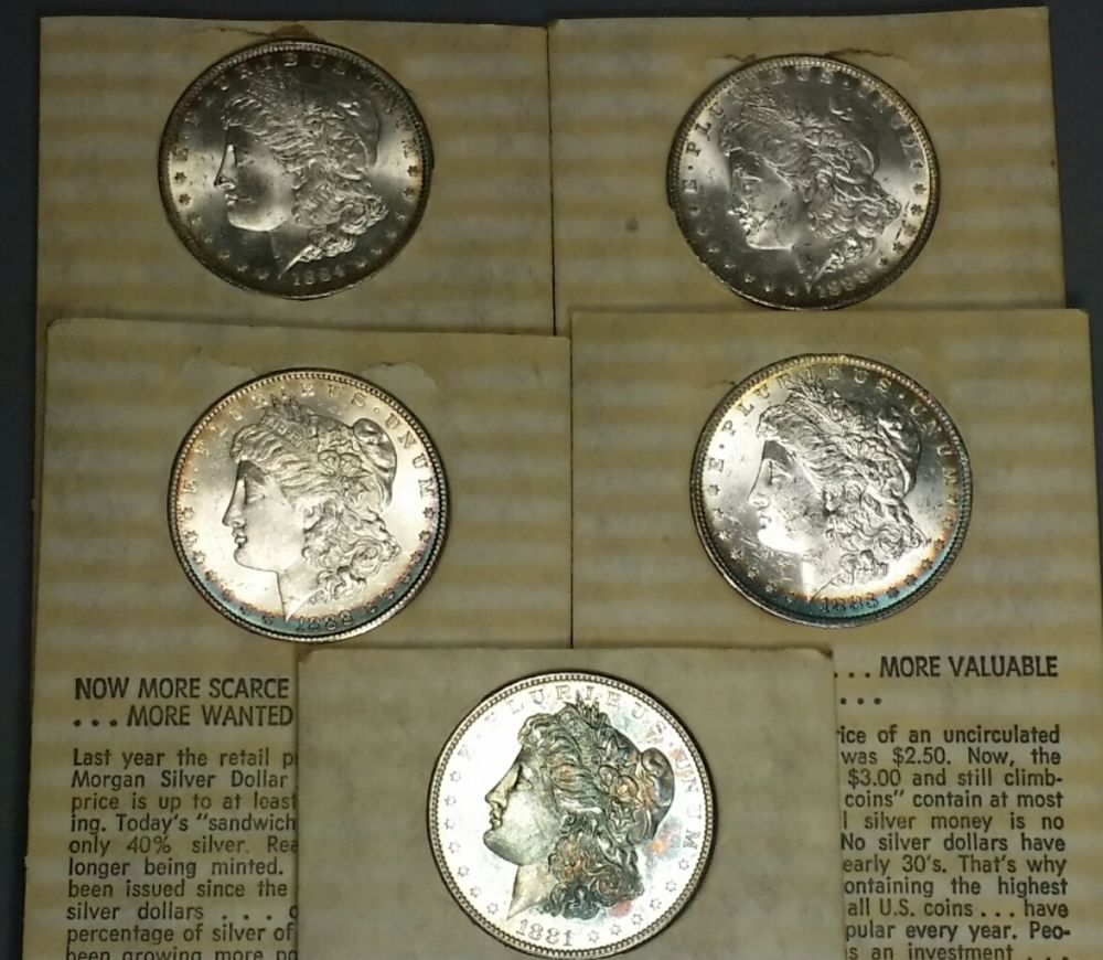 5x-Toned-Morgans-In-Historic-