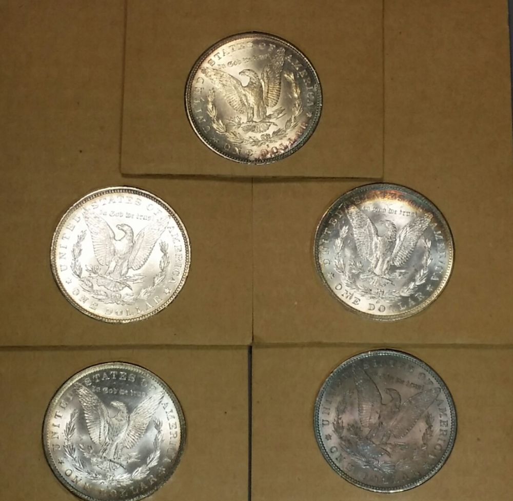 5x-Toned-Morgans-In-Historic-