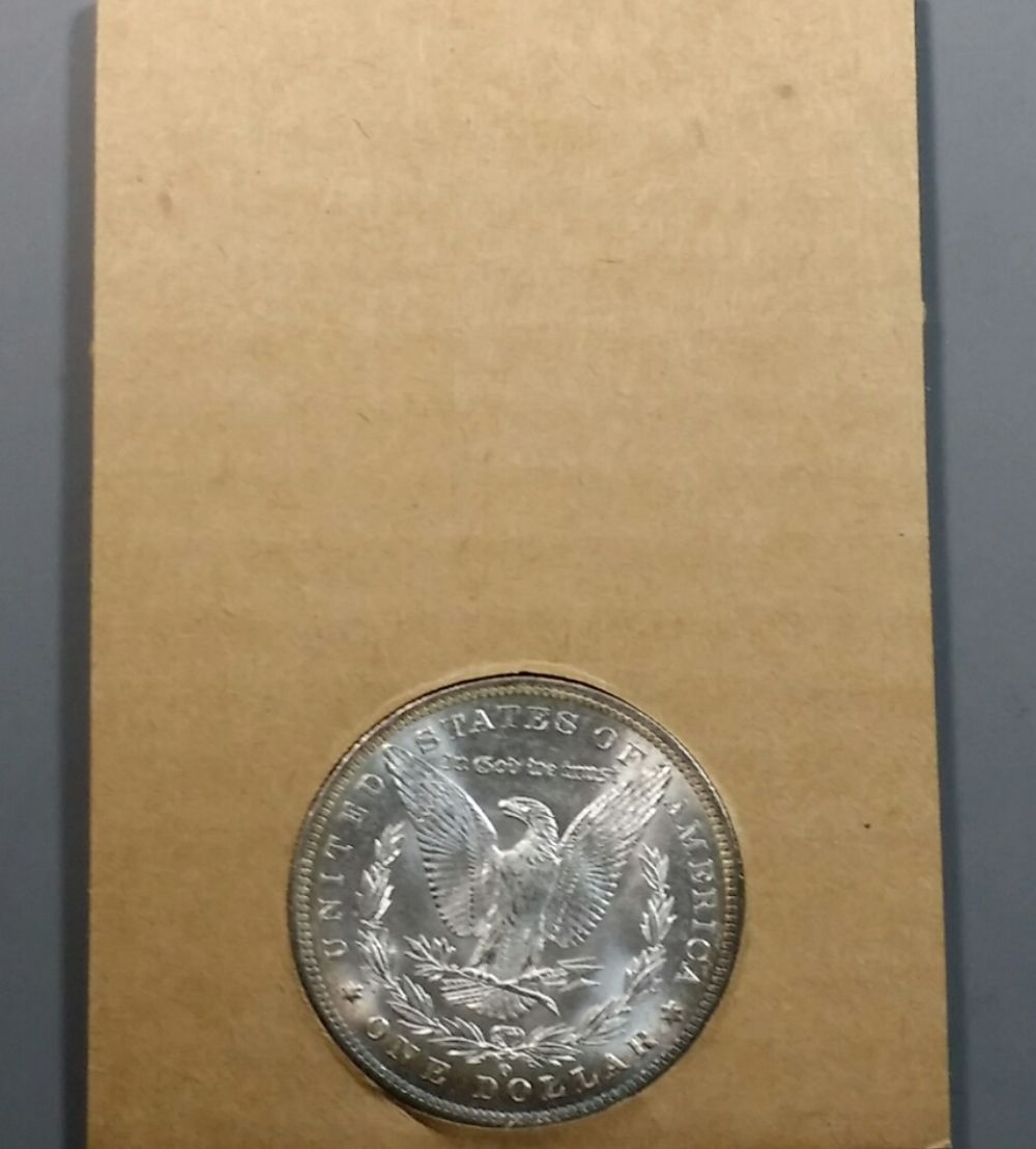 5x-Toned-Morgans-In-Historic-