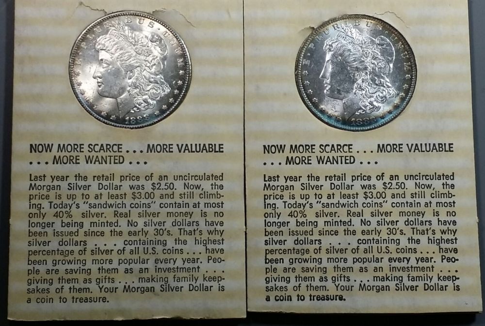 5x-Toned-Morgans-In-Historic-