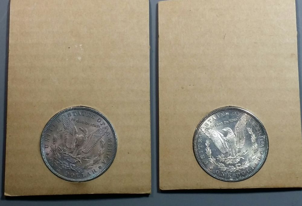 5x-Toned-Morgans-In-Historic-