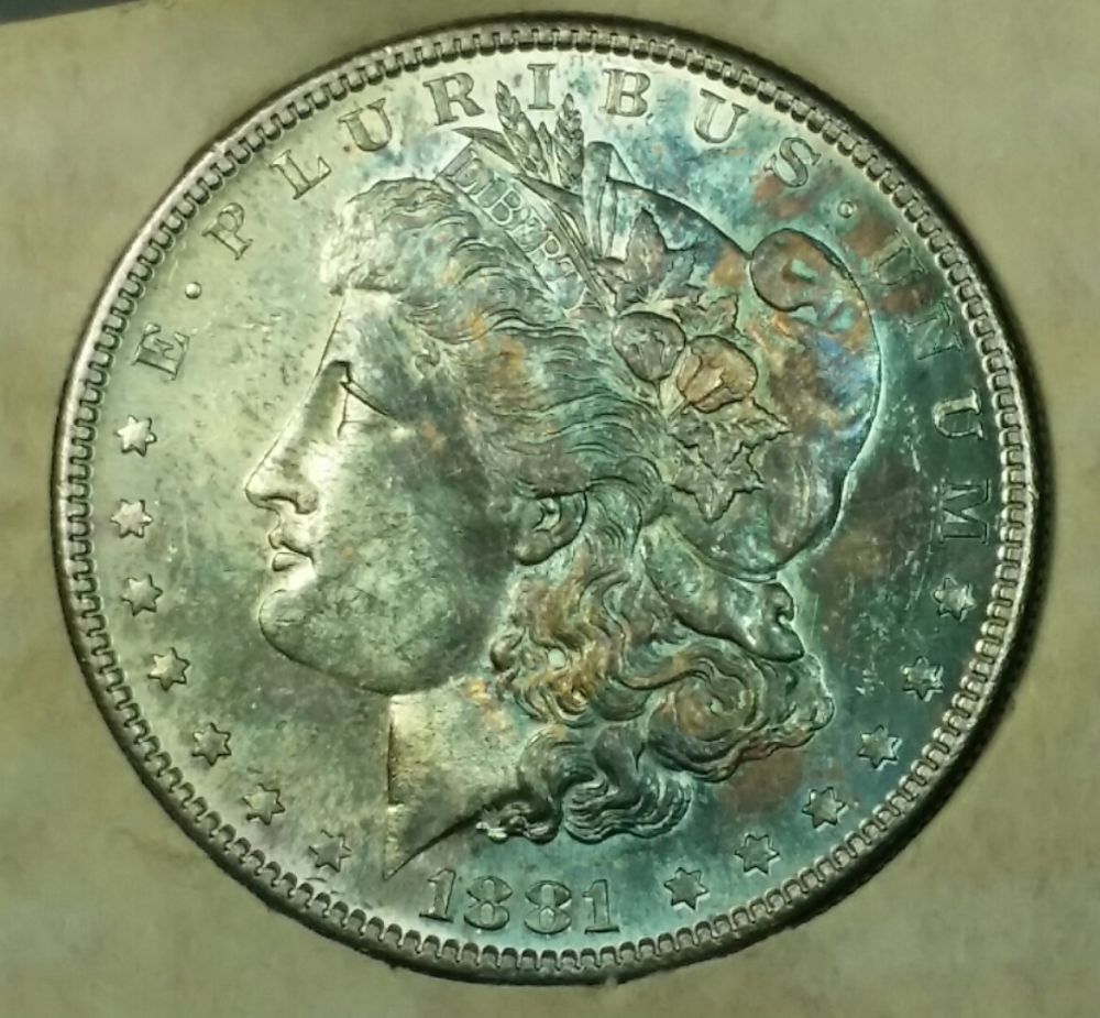 5x-Toned-Morgans-In-Historic-