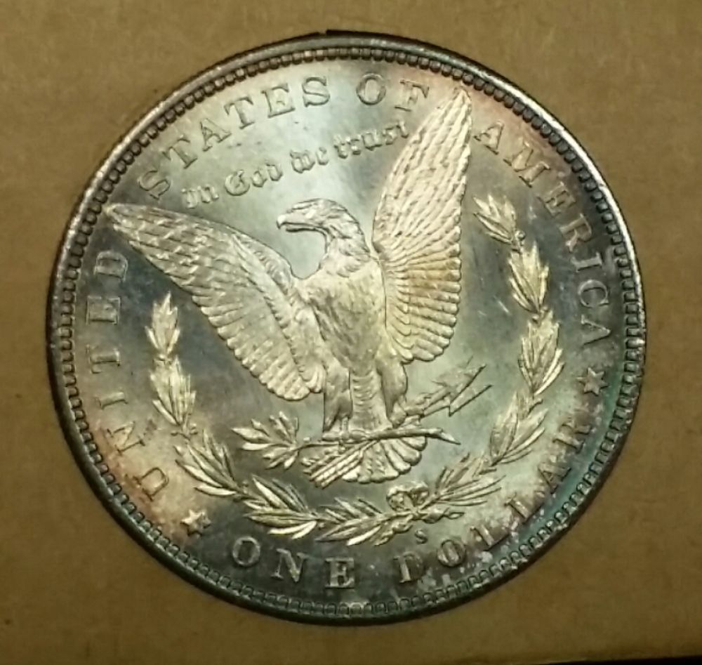 5x-Toned-Morgans-In-Historic-