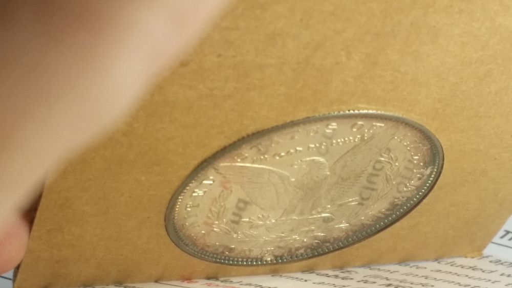 5x-Toned-Morgans-In-Historic-
