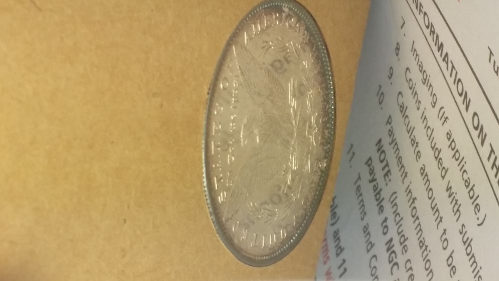 5x-Toned-Morgans-In-Historic-