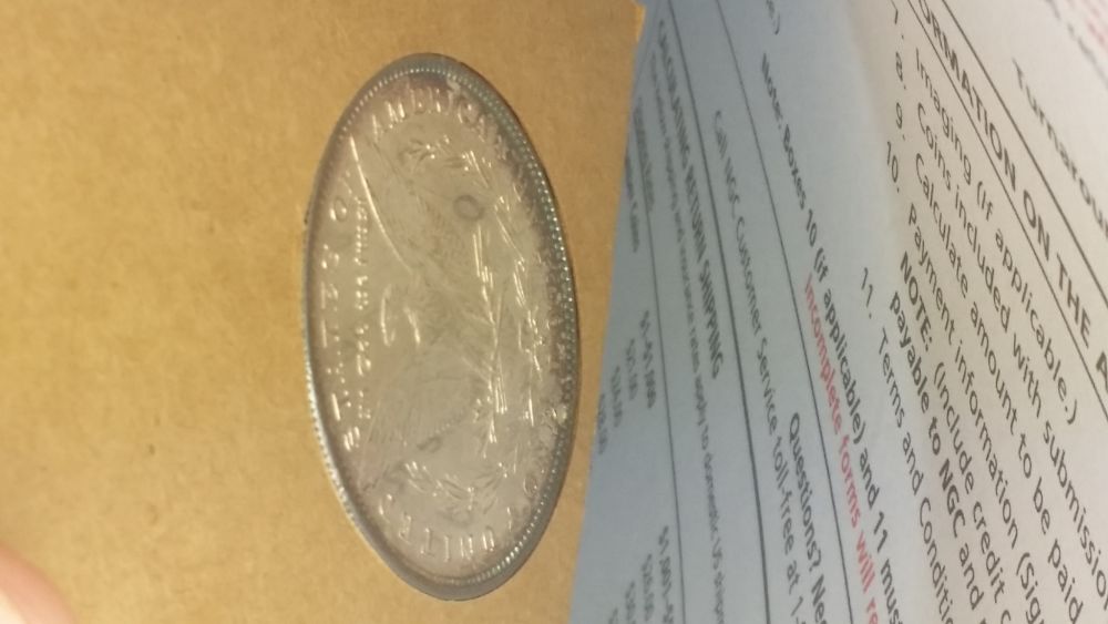 5x-Toned-Morgans-In-Historic-