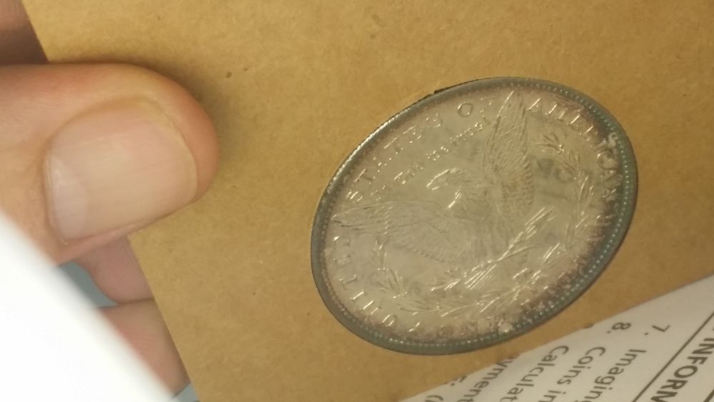 5x-Toned-Morgans-In-Historic-