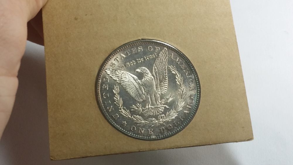 5x-Toned-Morgans-In-Historic-