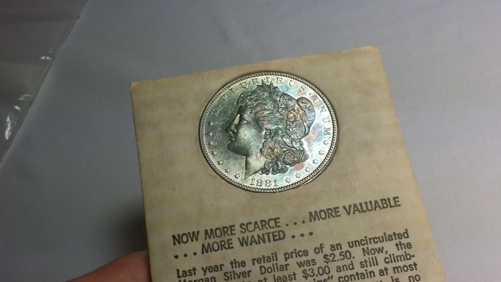 5x-Toned-Morgans-In-Historic-