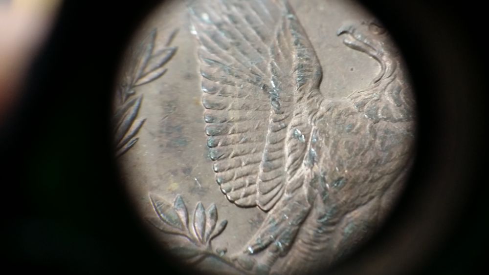 1888-P-Clashed-Double-Ear-W/-REV-Pitting