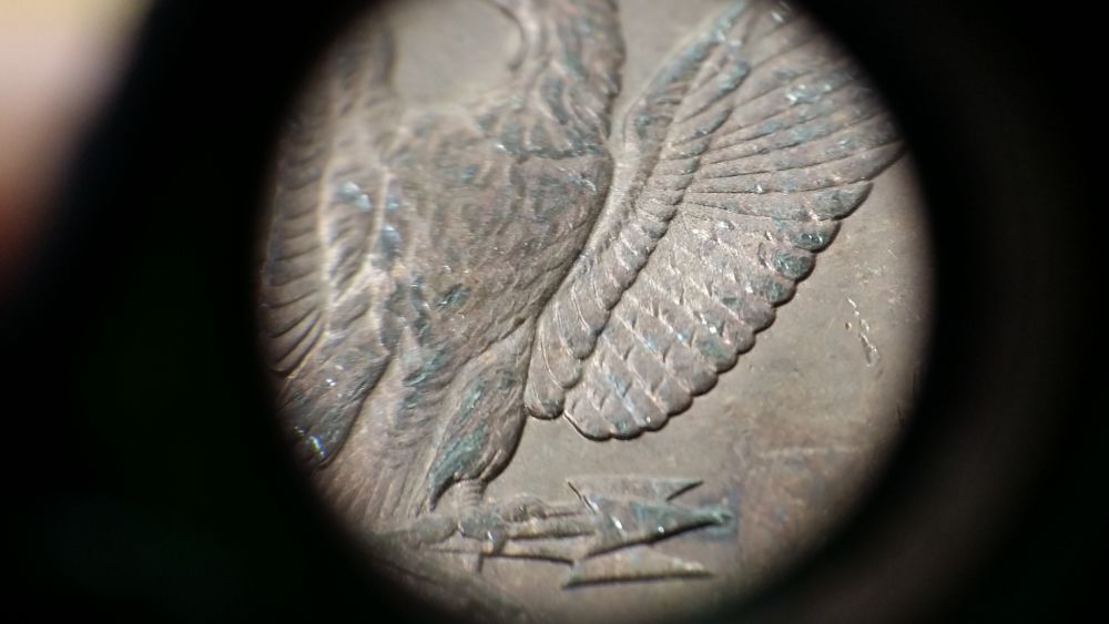 1888-P-Clashed-Double-Ear-W/-REV-Pitting