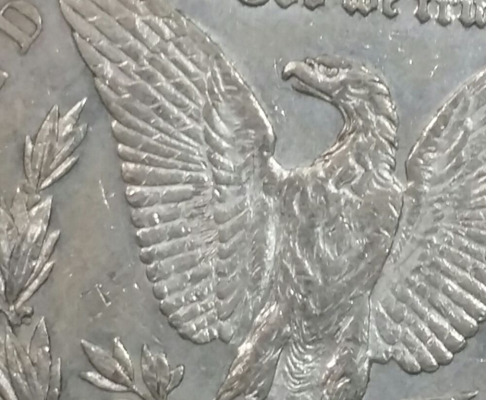 The-28-Days-Of-Morgan-Dollars!-Act-III