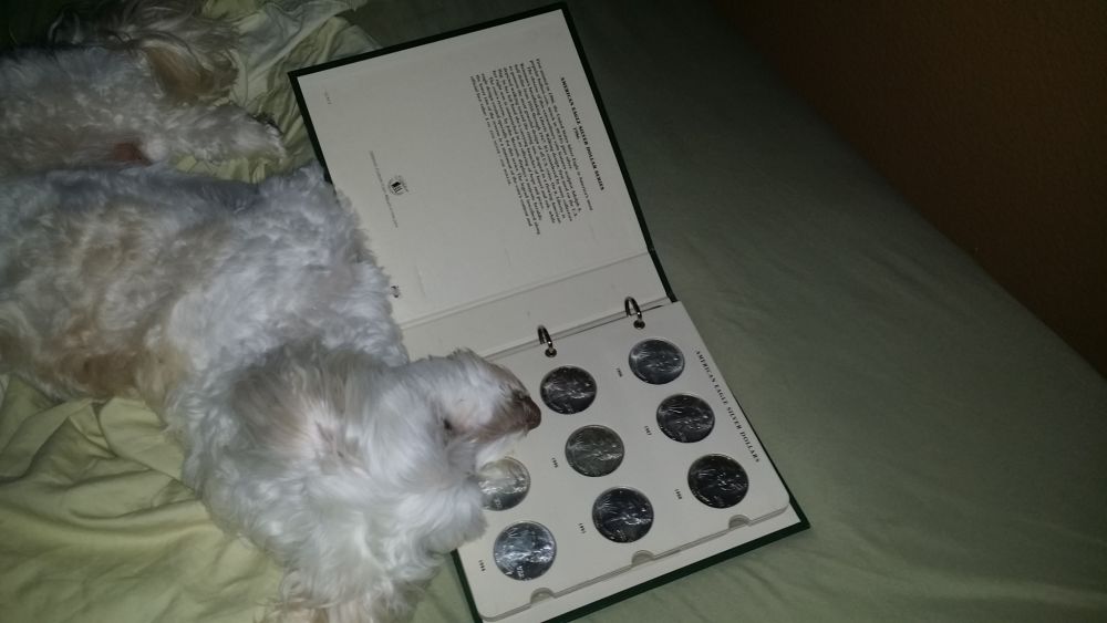 Question-For-Single-Coin-Collectors.