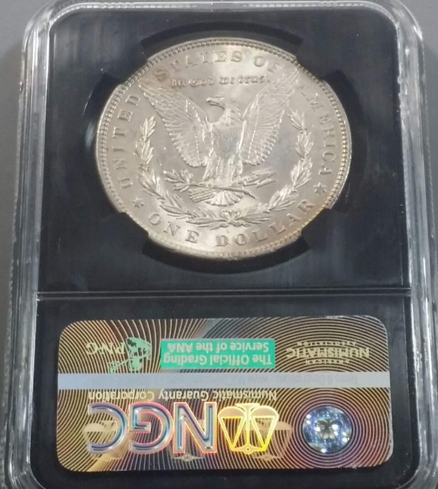 The-28-Days-Of-Morgan-Dollars!-Act-III