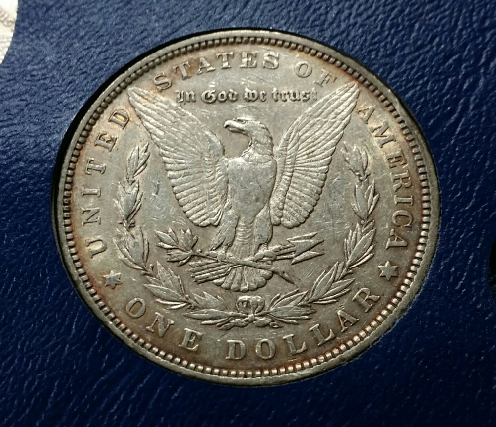 7x-Morgans-For-PCGS