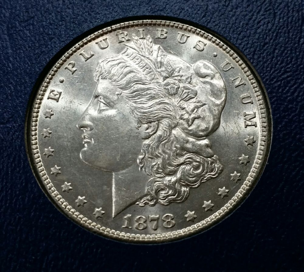 7x-Morgans-For-PCGS