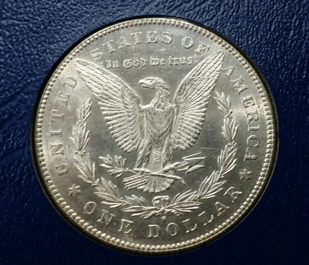 7x-Morgans-For-PCGS
