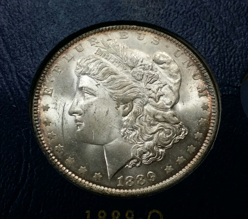7x-Morgans-For-PCGS